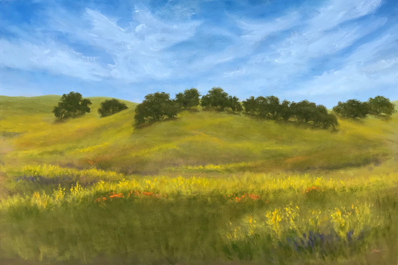 Mustard and Oaks, Los Olivos, CA painting.