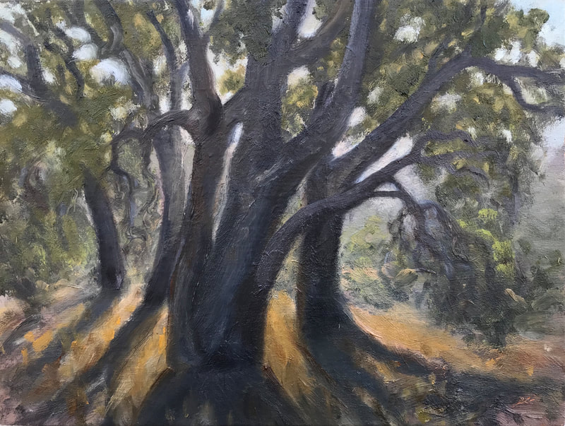 Oak Grove Morning Light Study, Ojai CA painting.