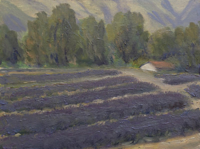 Ojai Lavender Plein Air Study, Ojai, CA painting.