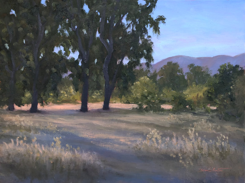 Ojai Meadows Preserve Morning Light V, Oil painting in Ojai CA. 