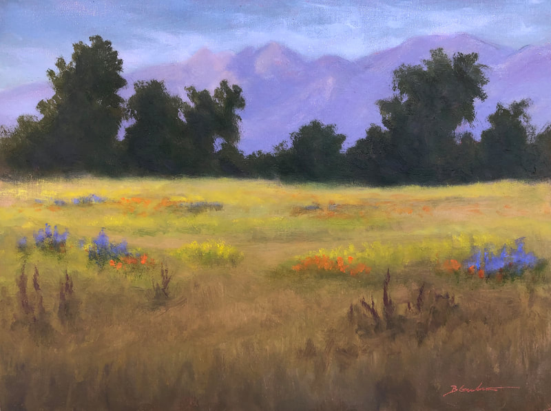 Ojai Meadows Preserve - Westside Flowers, Ojai CA
