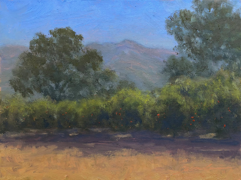 Plein Air Study Ojai Orange Grove with Chief's Peak II, Ojai, CA - oil painting.